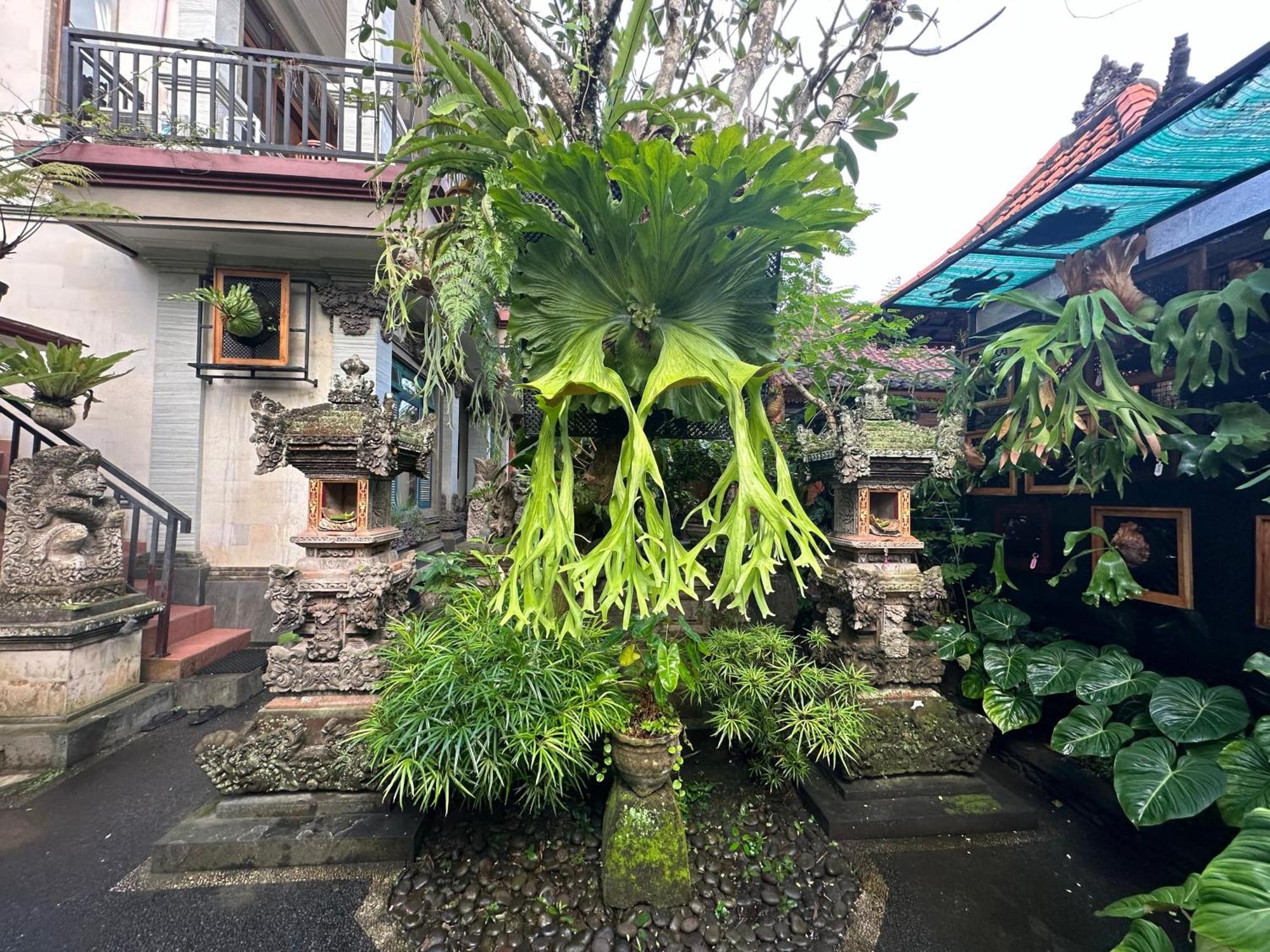 Maison d'hôtes Naeera Ubud