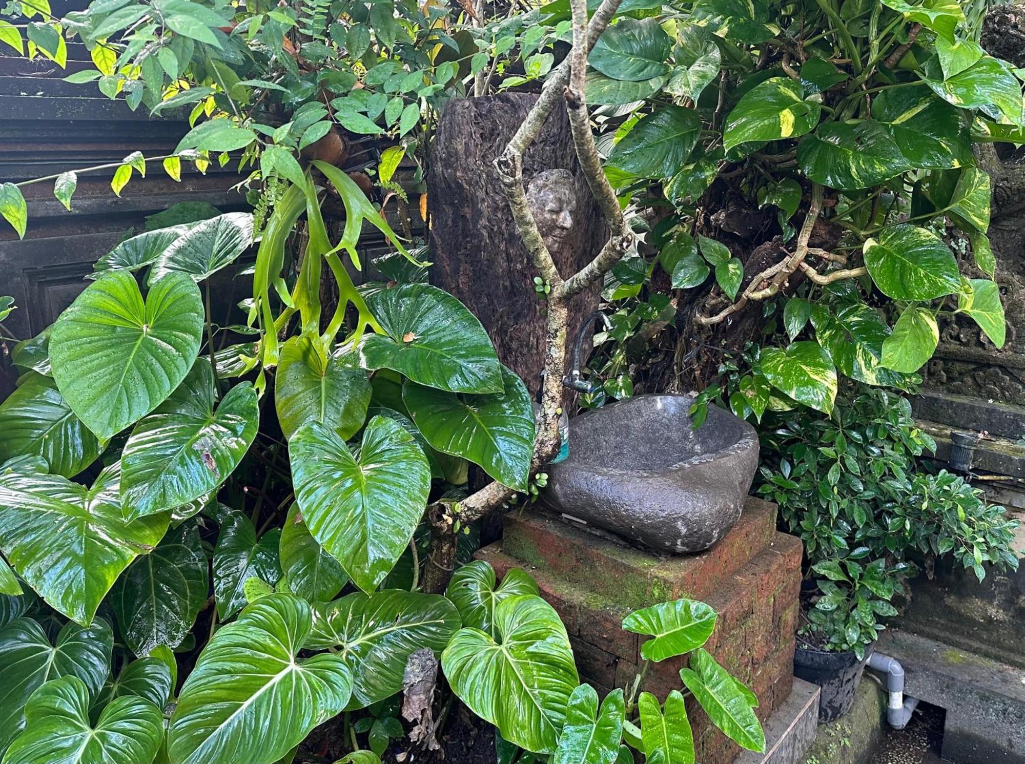 Naeera Maison d'hôtes
