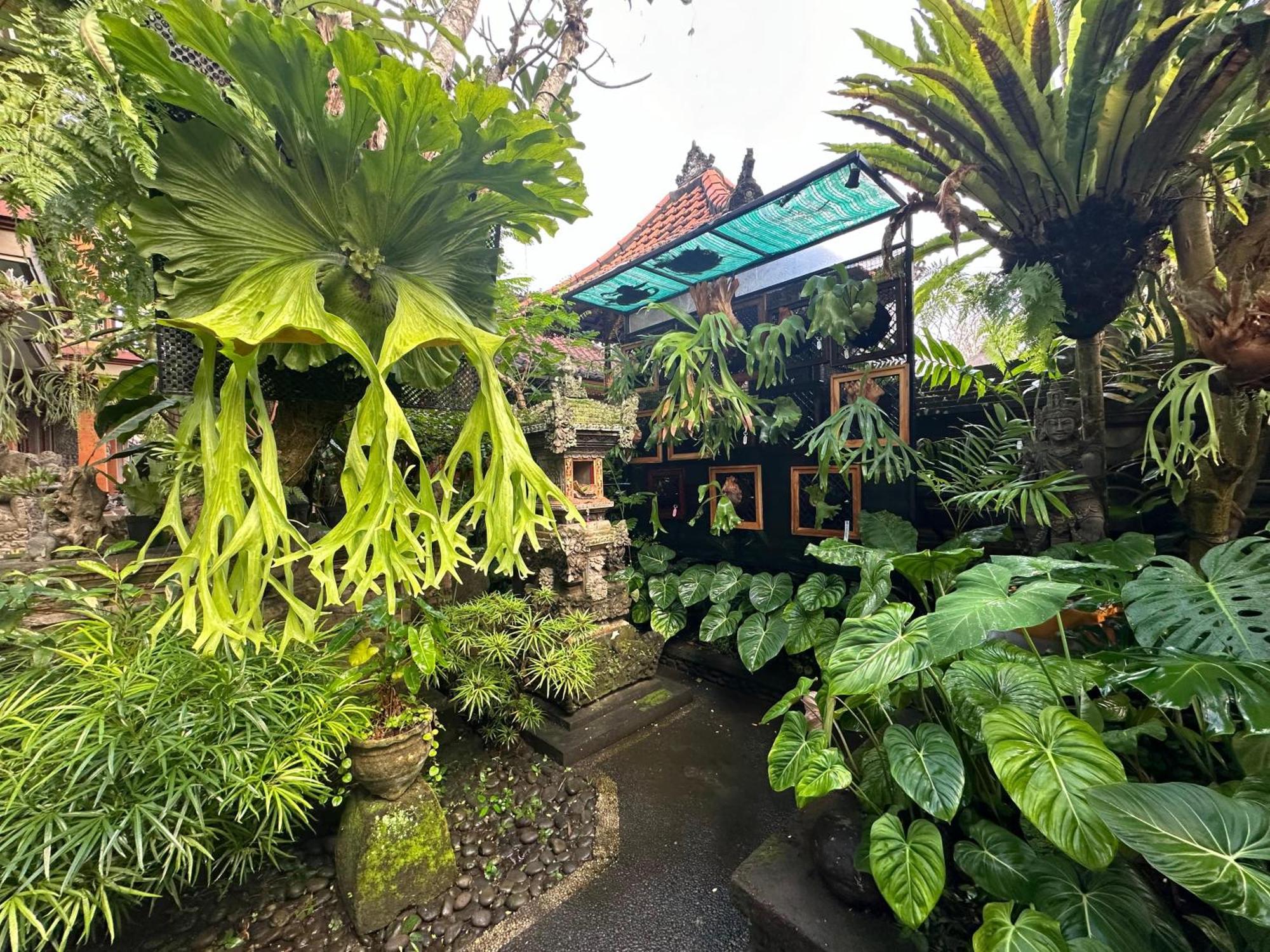 Maison d'hôtes Naeera