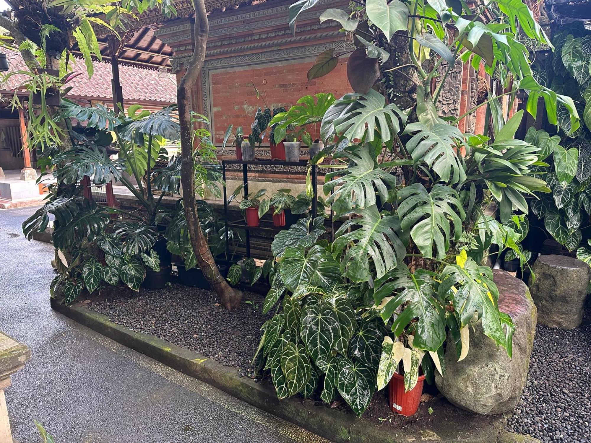 Guest house Naeera *